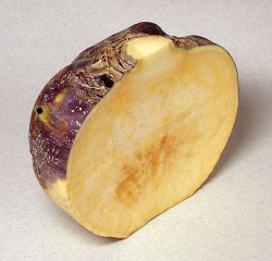 Rutabaga cut