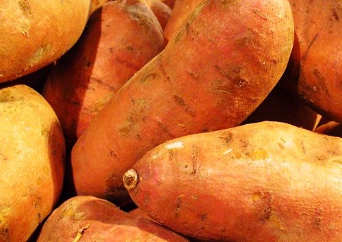 health benefits of sweet potatoes