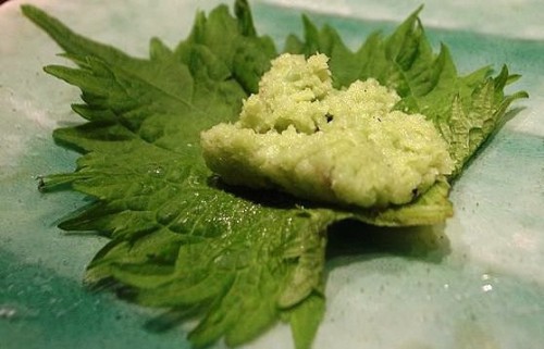 Wasabi benefits