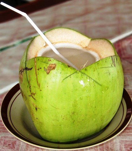 coconut water - healthiest drink on earth