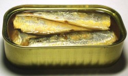 canned sardine