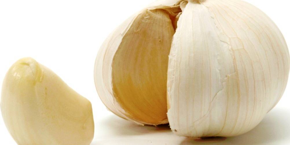 health benefits of garlic