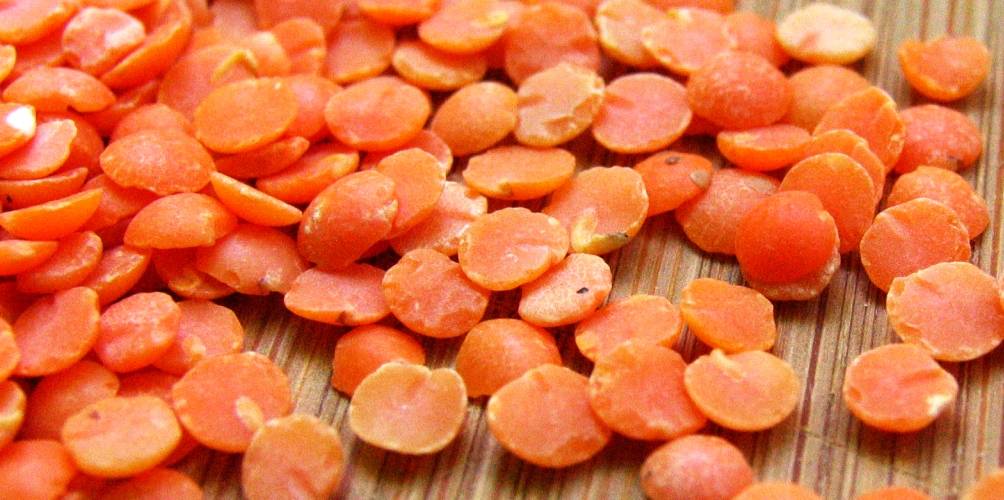 health benefits of red lentil