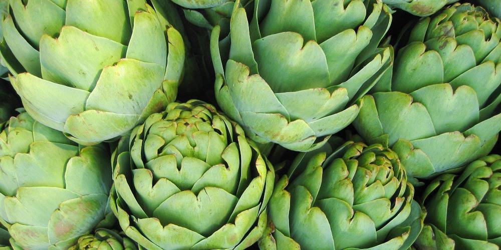 health benefits of artichoke