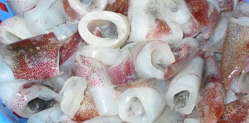 health benefits of cuttlefish