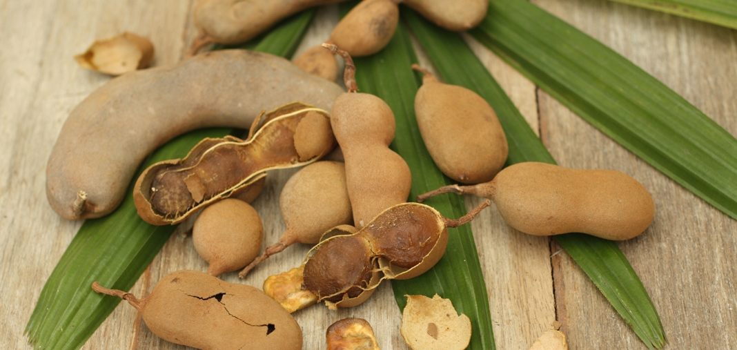 health benefits of tamarind