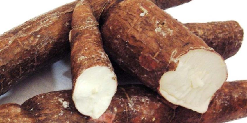 Health benefits of Cassava - ValueFood