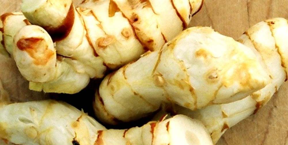 health benefits of galangal