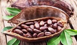 raw cacao benefits