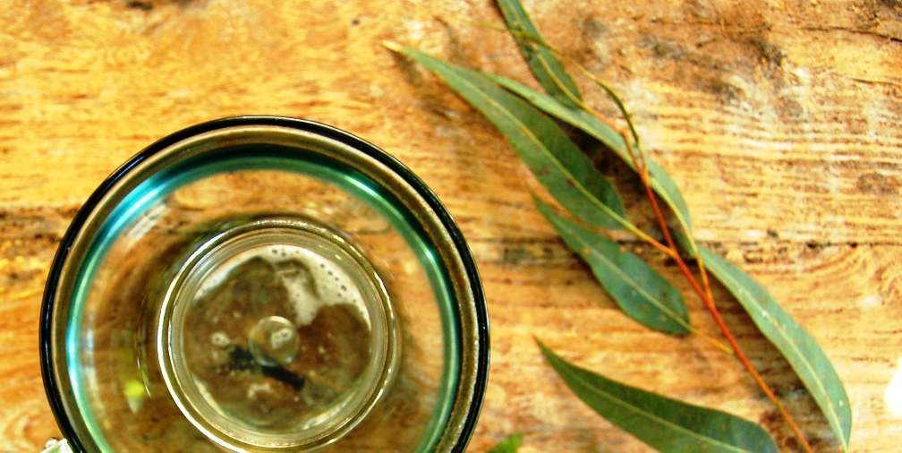 benefits of eucalyptus oil