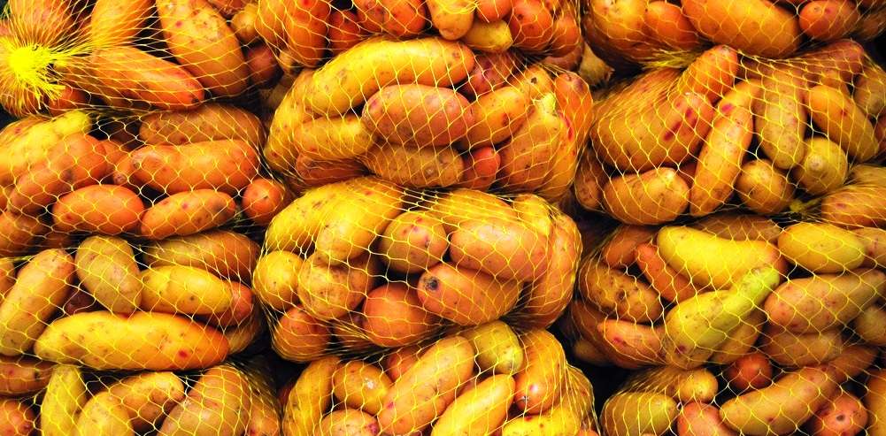 health benefits of olluco tubers