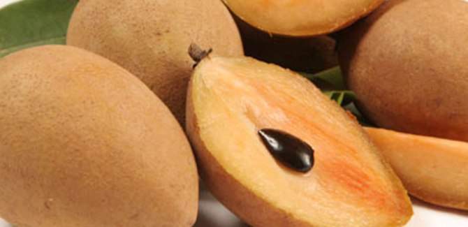 health benefits of sapota