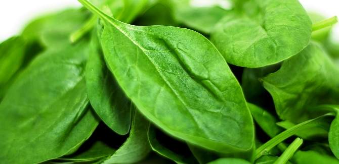 health benefits of spinach