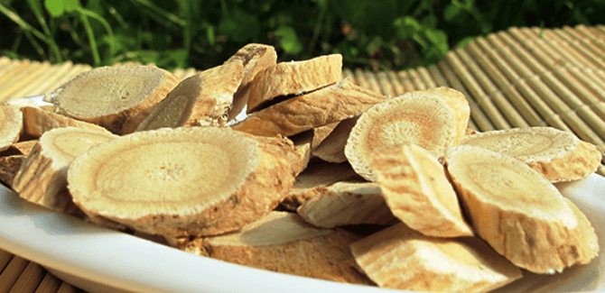 benefits of astragalus