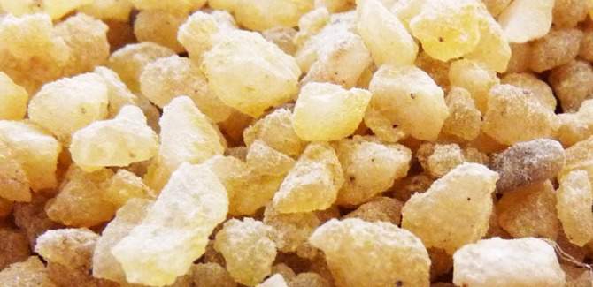 health benefits of boswellia frankincense