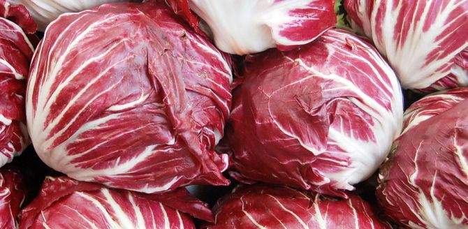 radicchio health benefits