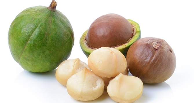 health benefits of Macadamia nuts