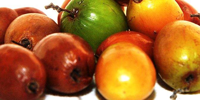 health benefits of jujube