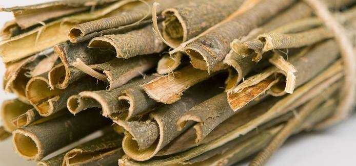 benefits of white willow bark