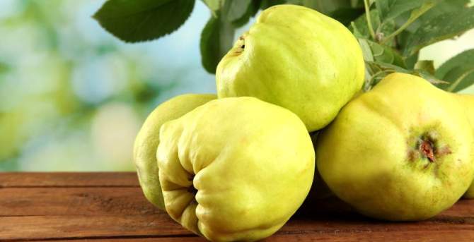 health benefits of quince