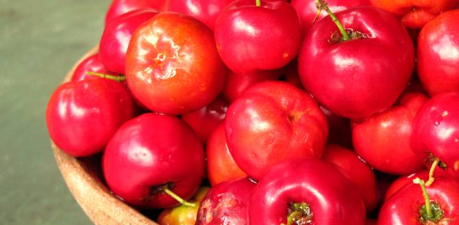 health benefits of acerola