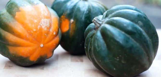 acorn squash benefits