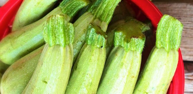 health benefits of marrow