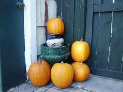 Pumpkins