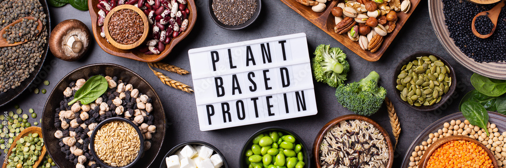 What is Plant-Based Diet?