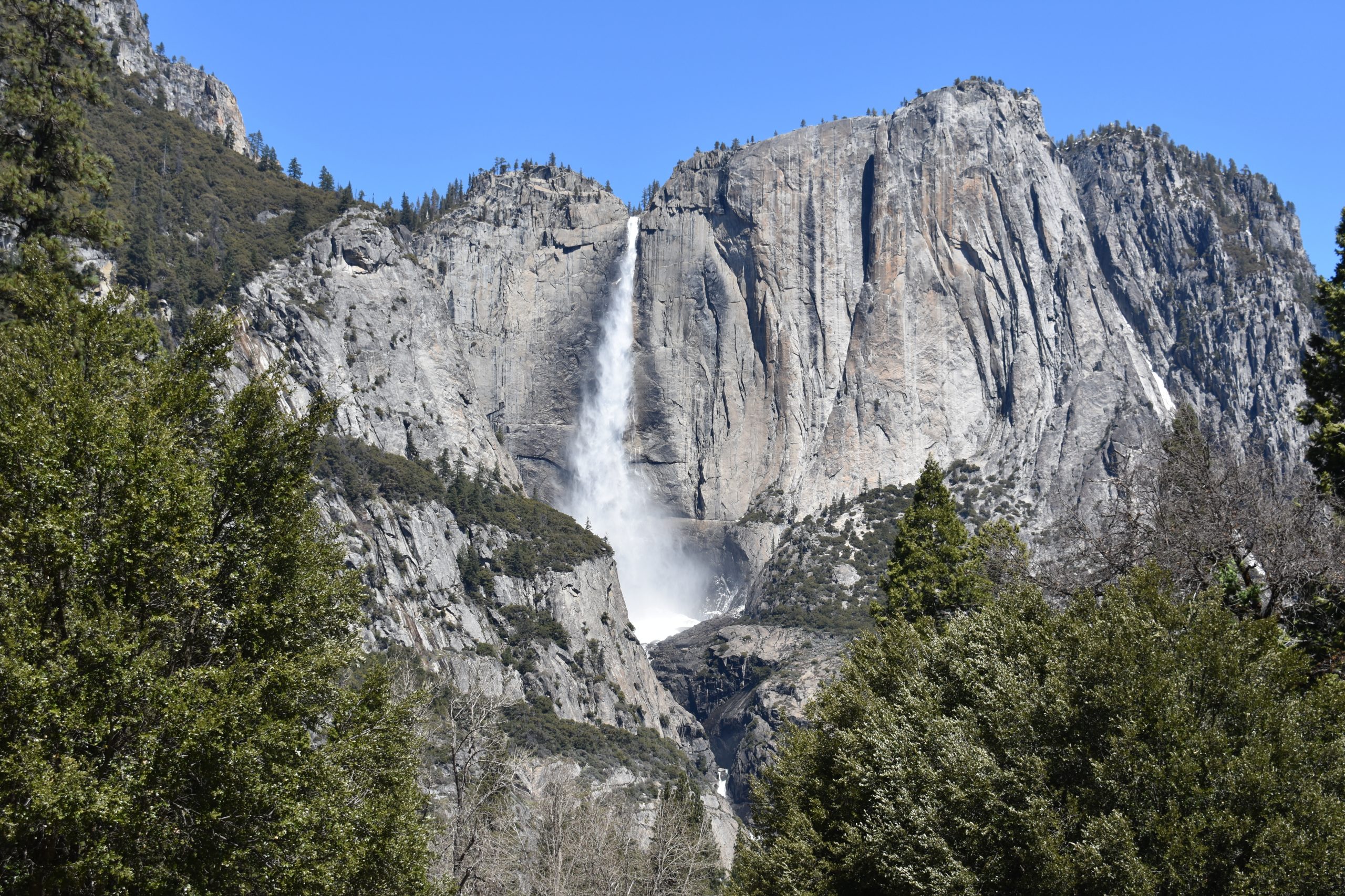 planning trip to yosemite